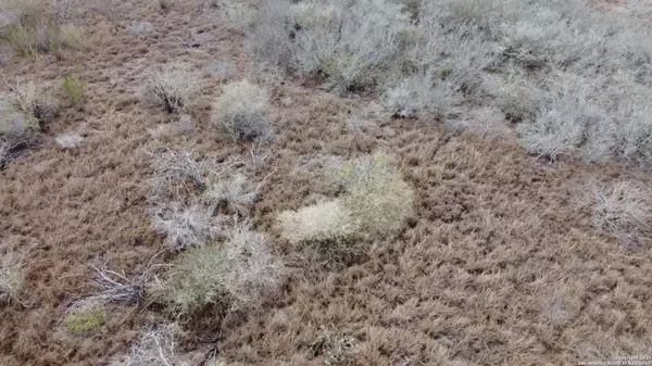 TBD Ridgeway Lane & FM888, Beeville, TX 78102