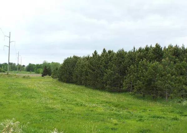 12557 150th AVE, Milo Twp, MN 56330