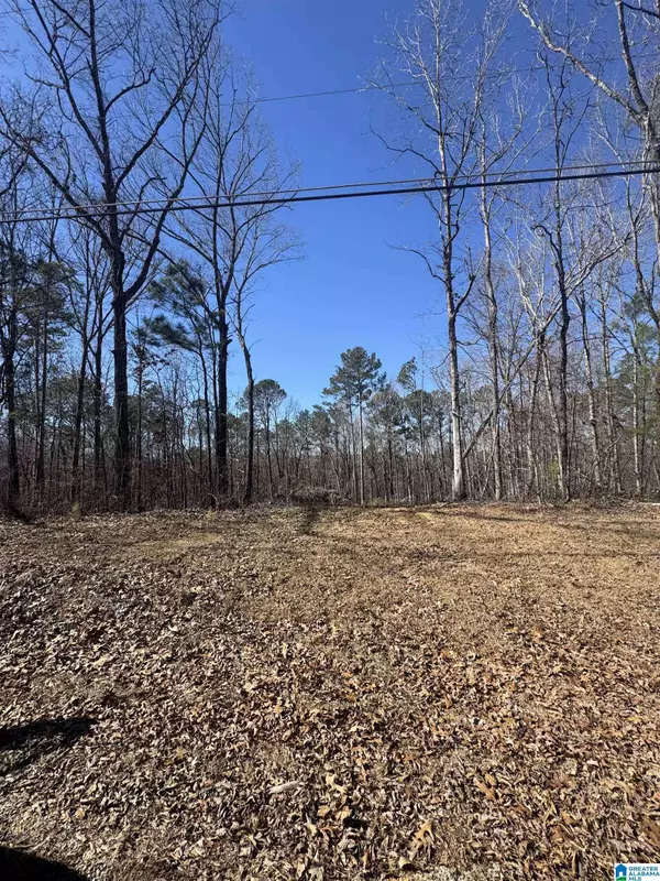 0 ROSSER LANE #Lot 1 Boundary and Division Tracts 7&8 Tannehills, Tuscaloosa, AL 35111