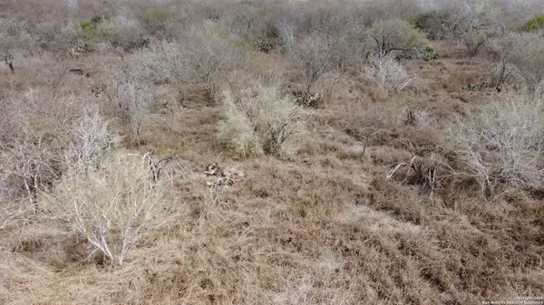 TBD Ridgeway Lane & FM888, Beeville, TX 78102