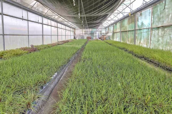 2526 Rainbow Valley BLVD, Fallbrook, CA 92028