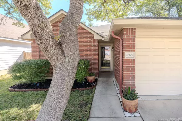 20602 Tree Mdw, San Antonio, TX 78258
