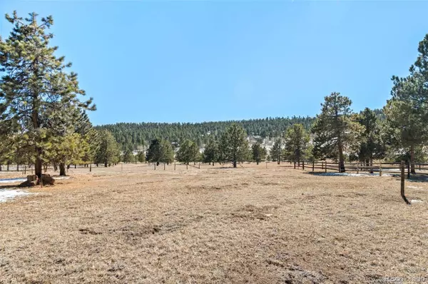 470 Homestead RD, Bailey, CO 80421