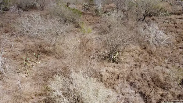 TBD Ridgeway Lane & FM888, Beeville, TX 78102