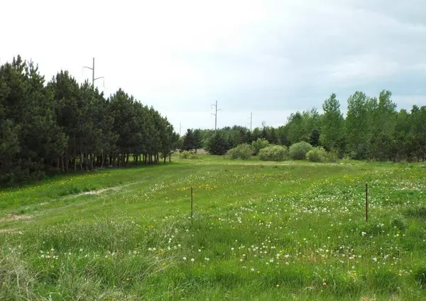 12557 150th AVE, Milo Twp, MN 56330