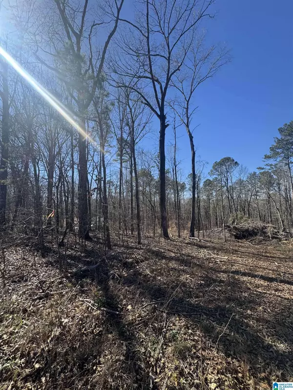 0 ROSSER LANE #Lot 1 Boundary and Division Tracts 7&8 Tannehills, Tuscaloosa, AL 35111