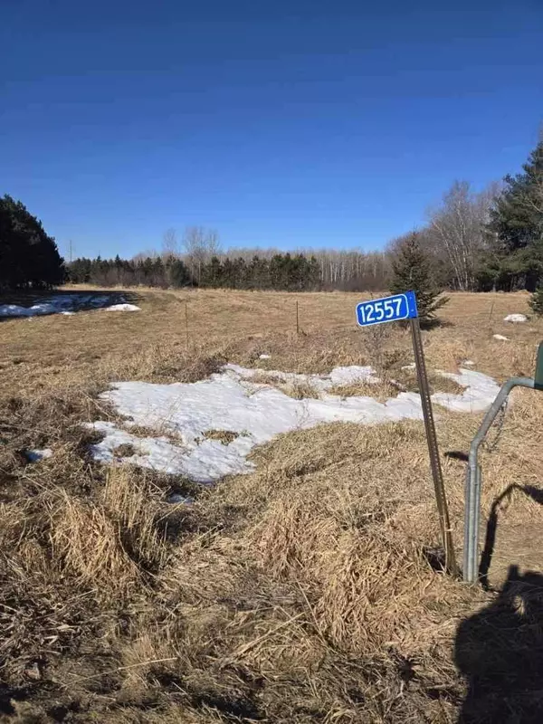 12557 150th AVE, Milo Twp, MN 56330