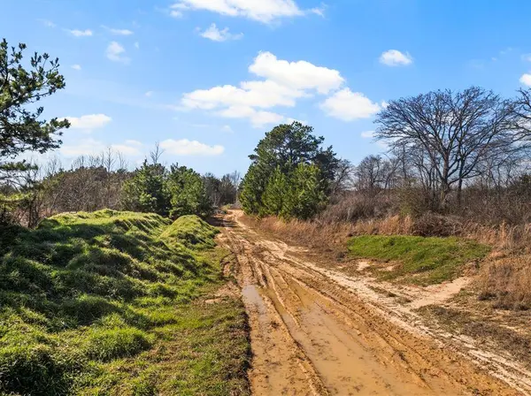 TBD FM 2152 & CR 1635, Mount Pleasant, TX 75455