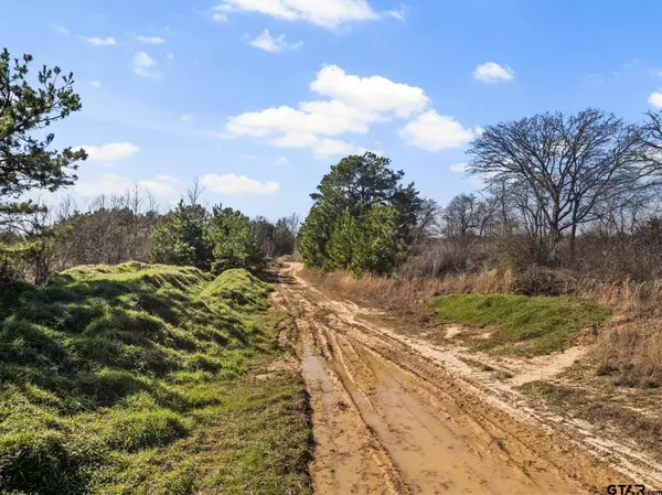 TBD FM 2152 & CR 1635, Mt Pleasant, TX 75455