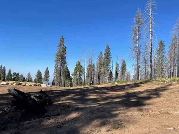 40231 Mariposa Lilly, Shaver Lake, CA 93664
