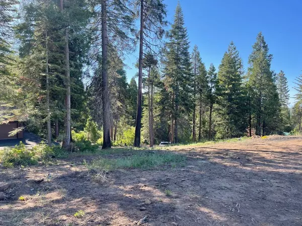 40231 Mariposa Lilly, Shaver Lake, CA 93664