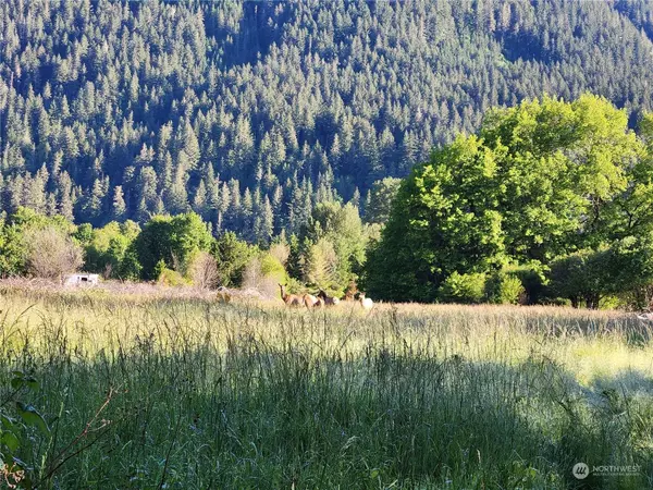 0 US Hwy 12, Randle, WA 98377