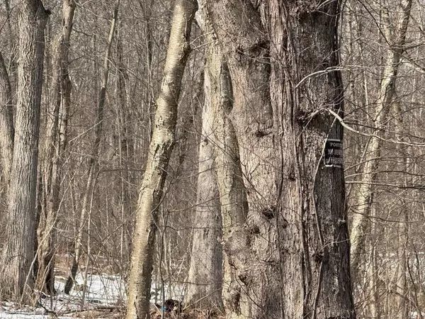 358 W Sutton Rd, Sutton, MA 01590