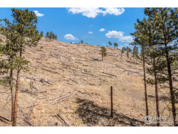 155 Wild Turkey Pl, Drake, CO 80515