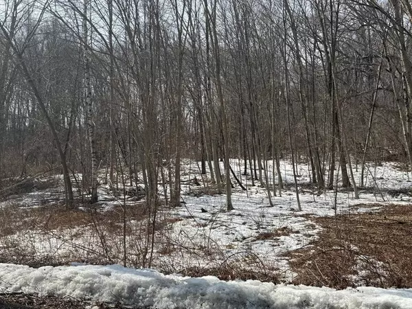 358 W Sutton Rd, Sutton, MA 01590