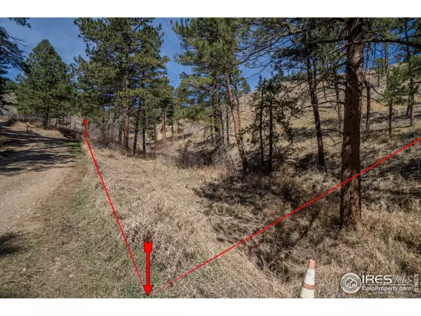 155 Wild Turkey Pl, Drake, CO 80515