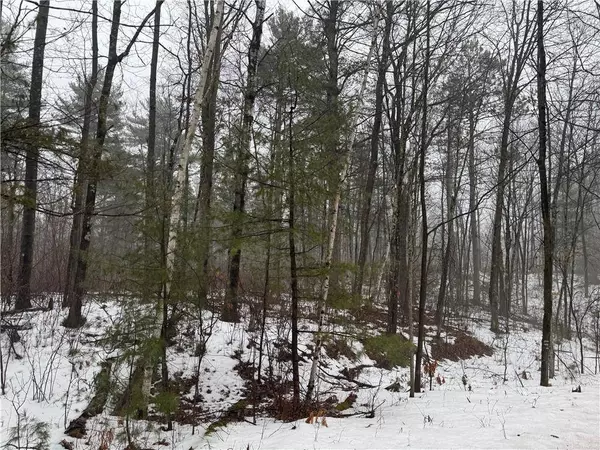 Lot 2 McClaine/Lawry Road, Hayward, WI 54843