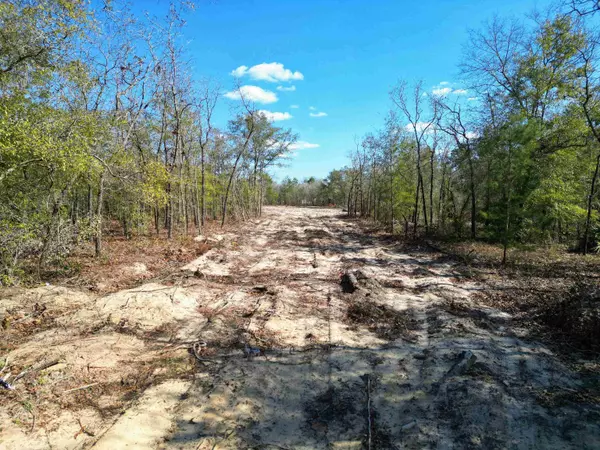 TBD NW Doris Stewart Road, Bristol, FL 32321