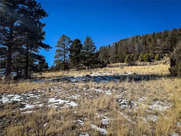 0 Ellingwood DR, South Fork, CO 81154