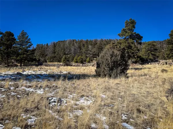 0 Ellingwood DR, South Fork, CO 81154