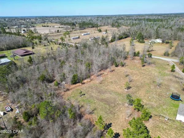 16767 NE Morgan Tucker RD, Altha, FL 32421