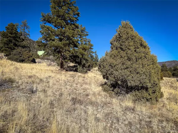 0 Ellingwood DR, South Fork, CO 81154