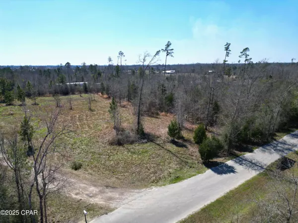 16767 NE Morgan Tucker RD, Altha, FL 32421