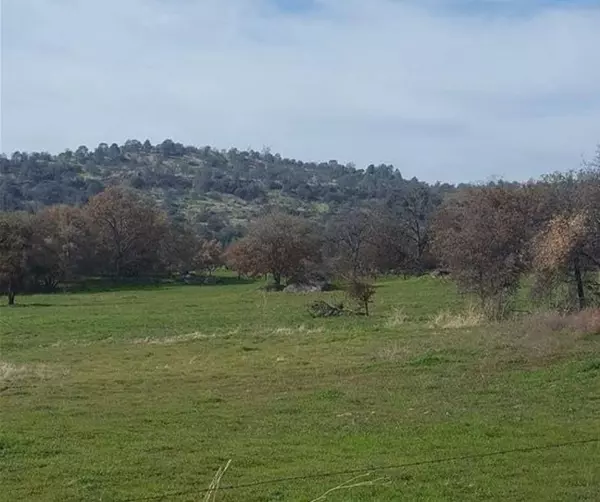 0 Usona RD, Mariposa, CA 95338