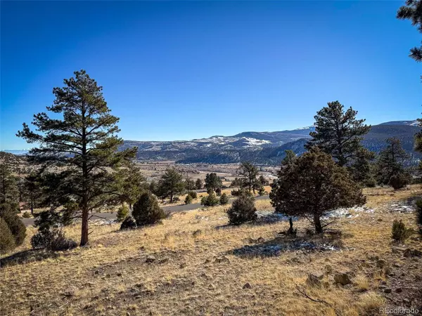 0 Ellingwood DR, South Fork, CO 81154