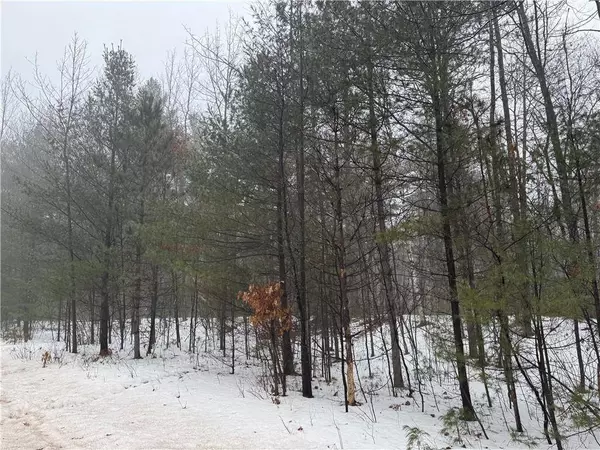 Lot 2 McClaine/Lawry Road, Hayward, WI 54843