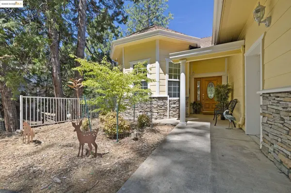 20190 Pine Mountain Drive, Groveland, CA 95321