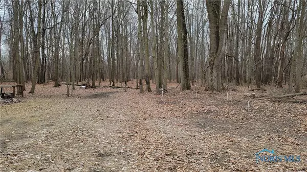 10999 Angola RD, Swanton, OH 43558