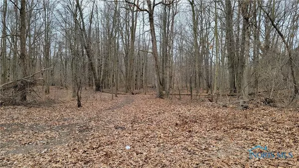 10999 Angola RD, Swanton, OH 43558