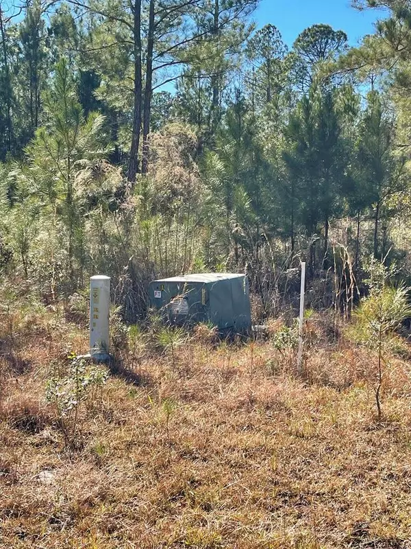 0 Landing Trail, Waynesville, GA 31566