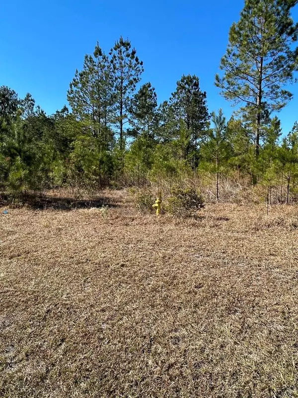 0 Landing Trail, Waynesville, GA 31566