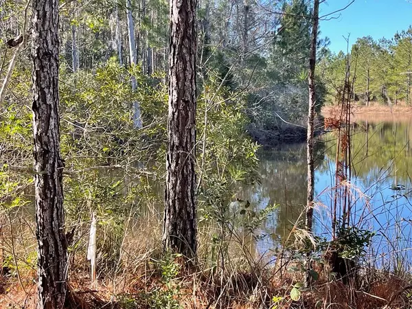 0 Landing Trail, Waynesville, GA 31566