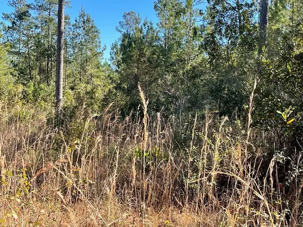 0 Landing Trail, Waynesville, GA 31566