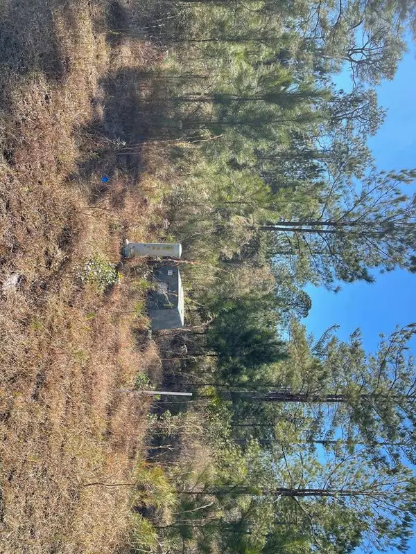 0 Landing Trail, Waynesville, GA 31566