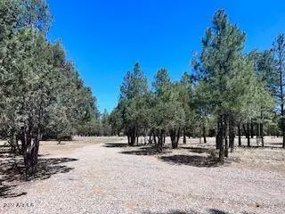 5498 RIDGETOP Drive, Happy Jack, AZ 86024