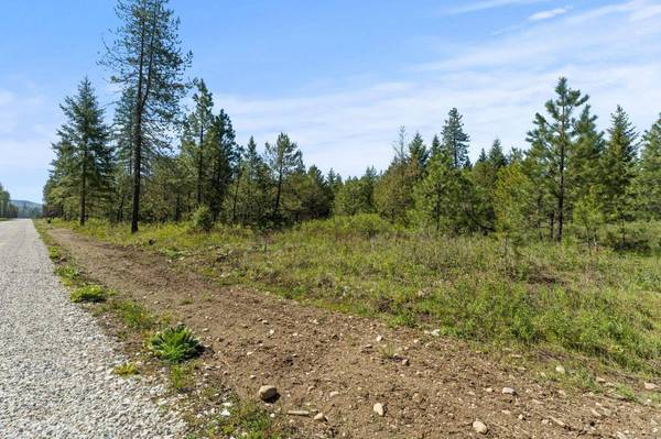 4074 Black Pine WAY, Springdale, WA 99173