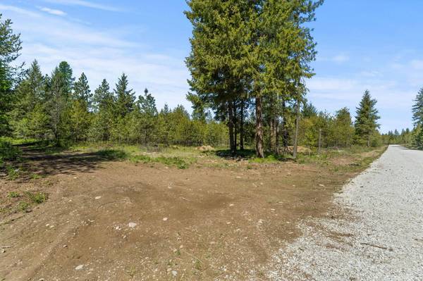 4074 Black Pine WAY, Springdale, WA 99173