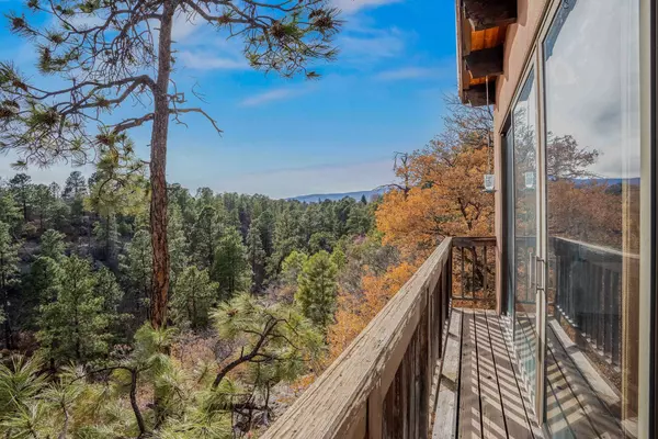 225 Rim RD, Los Alamos, NM 87544
