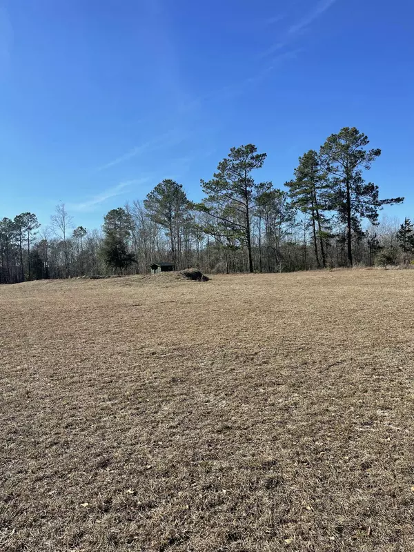 1134 Sante Fe Dr, Manning, SC 29102