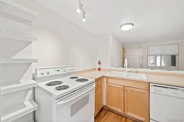 336 N Grant ST #302, Denver, CO 80203