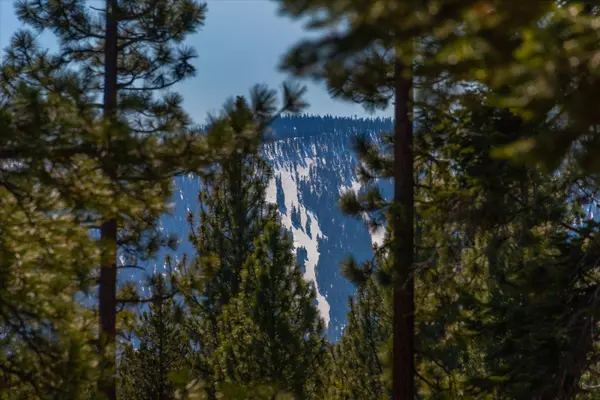 11631 Coburn Drive, Truckee, CA 96161