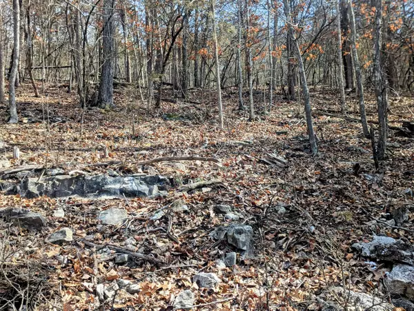 Lt 409,446 Blue Springs RD, Branson West, MO 65737