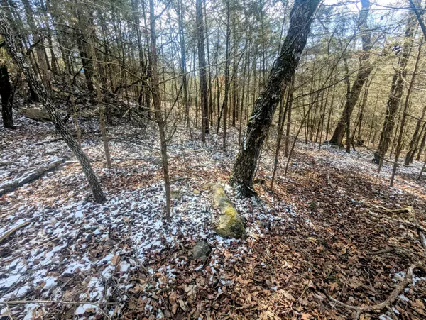 Lt 409,446 Blue Springs RD, Branson West, MO 65737