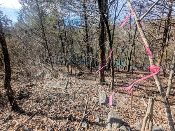 Lt 409,446 Blue Springs RD, Branson West, MO 65737