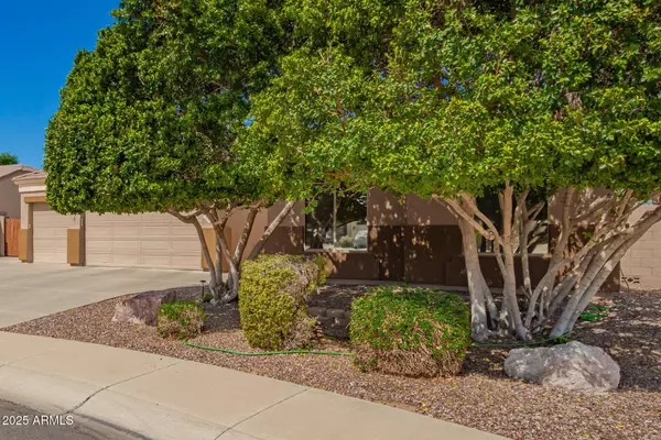 3562 E HARVARD Court, Gilbert, AZ 85234