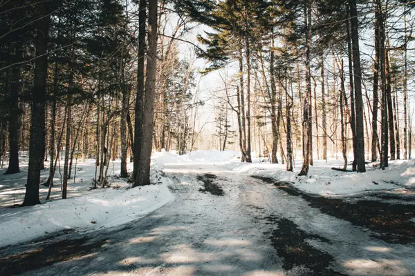 Map Plan B-4028L, Hammond, ME 04730